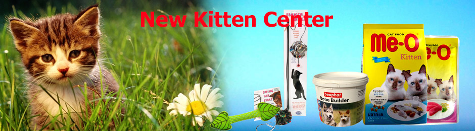 New Kitten Center
